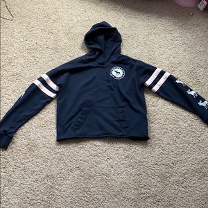 Blue cropped hoodie with pink stripes.